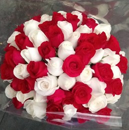 Bouquet Duas Cores - 72 rosas 